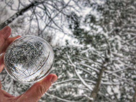 50813635_10155880671921767_3211360730985005056_n