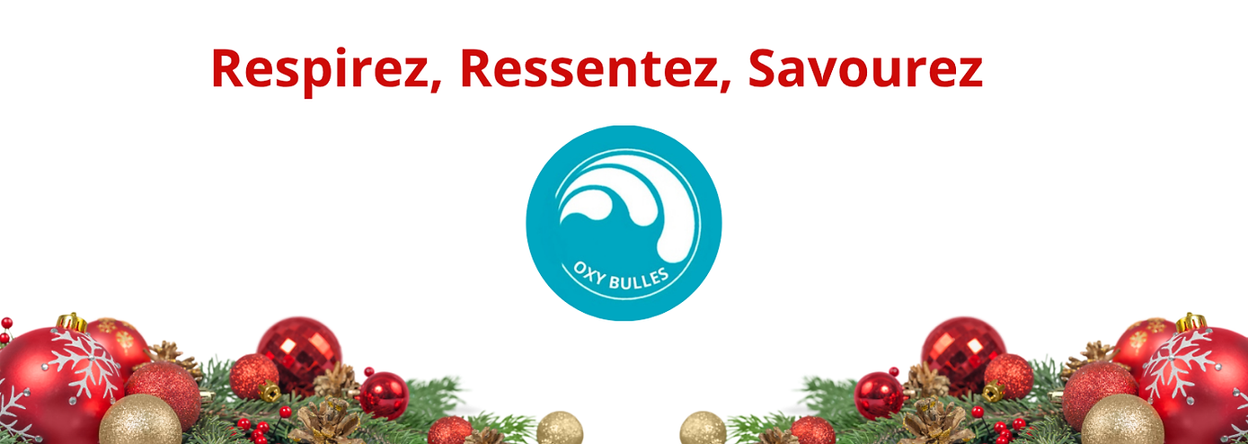 Copie de Pied de page site noel (1).png