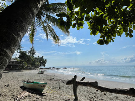 So Much To Catch Up On 