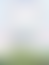 FINAL FANTASY VII: A DAMA QUE VIAJA PELO PLANETA