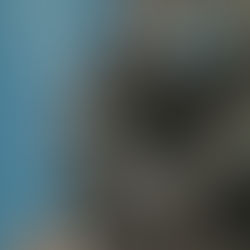 Kakushite Shimaitai (Español)