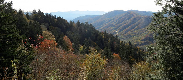 Autumn Views.jpg
