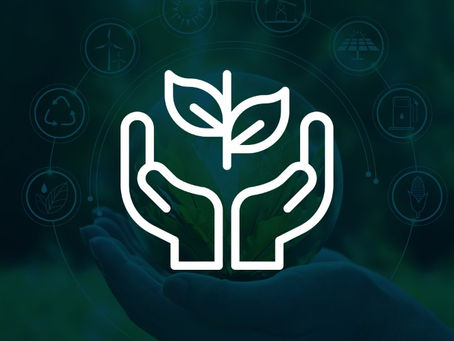 A importância e vantagens do programa de compliance ambiental