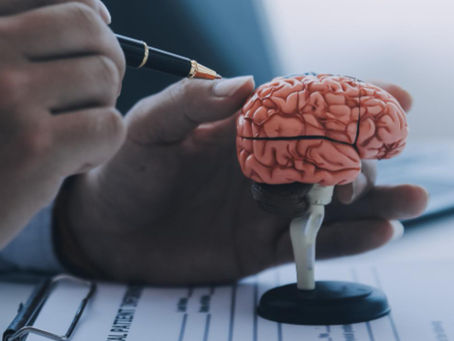 Novo certificado sobre saúde mental nas empresas