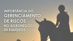 A importância do gerenciamento de riscos no agronegócio de equídeos