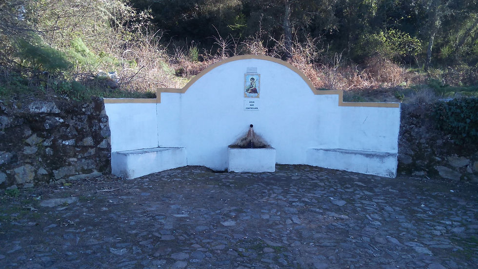 Fonte Lobo