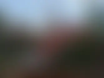 Timber harvesting to increase in an effort to reduce wildland fires