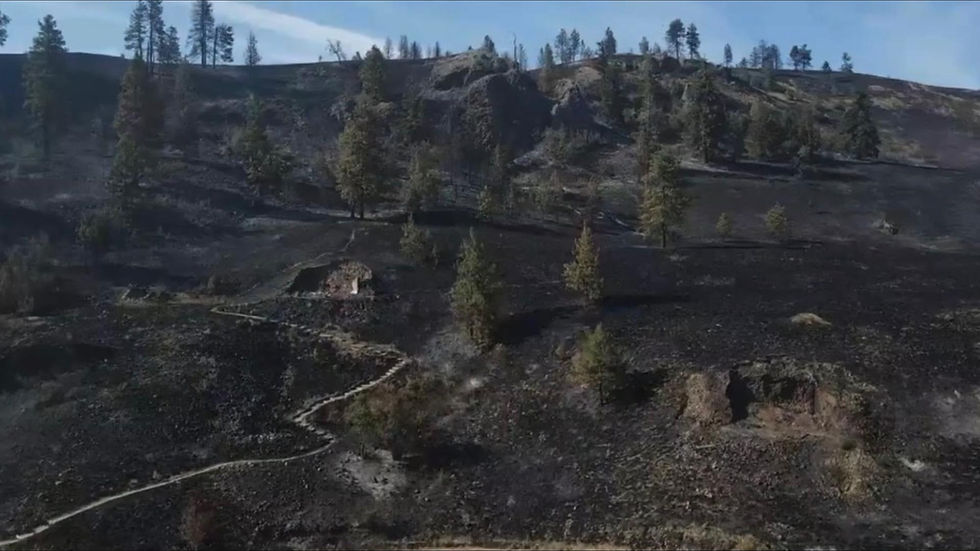 Chelan Hills Fire arson suspect arrested