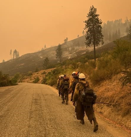 Progress reported, evacuation advisory decreased along south shore of Lake Chelan