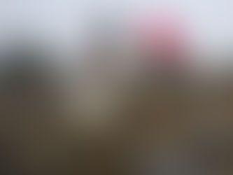 Weather plays pivotal role in wild land fire fight