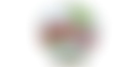 Chelan Council awards Community Benefit Grants to local organizations