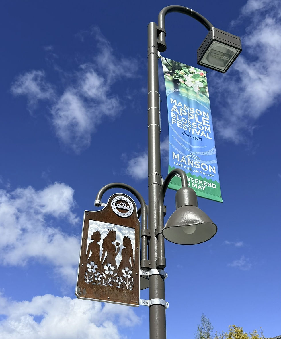 Manson 'storytelling' project and volunteers earn state excellence awards