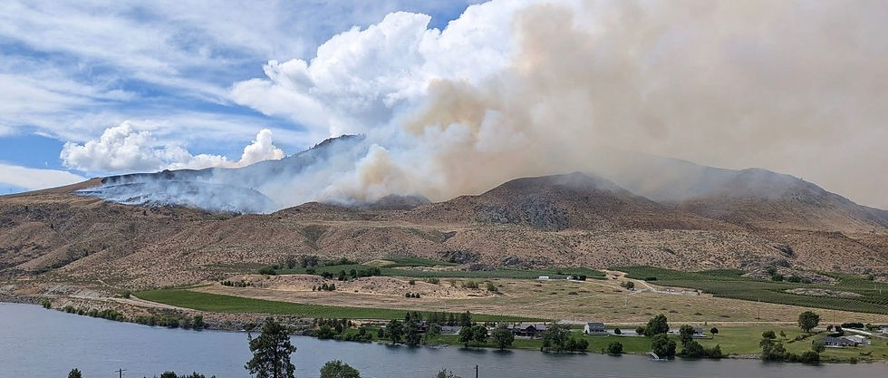 Chelan Butte fire, June 7. Photo courtesy: Tim Schiffleger.