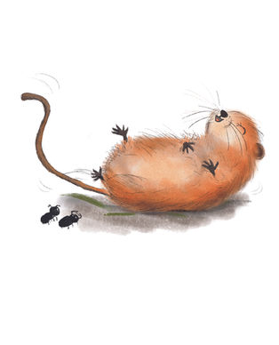 Giggling vole character