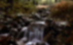CF000355.TIF-00355.jpg