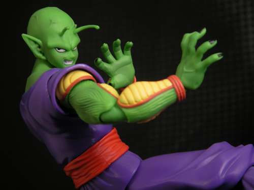 Piccolo(With Out Suit)