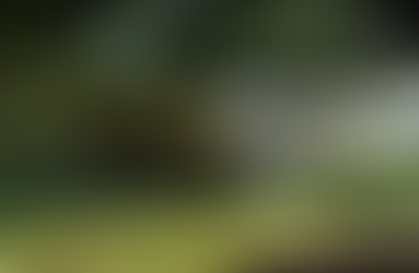 Professionnels de l'événementiel : Acheter une tente nomade ?