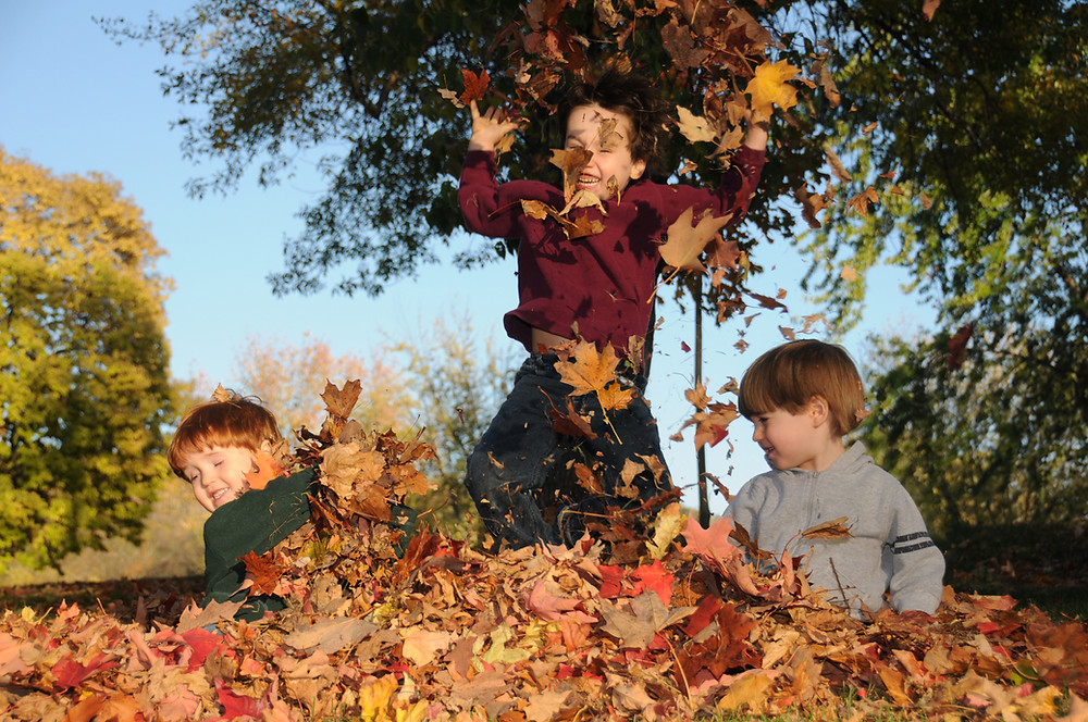 Jumping in leaves