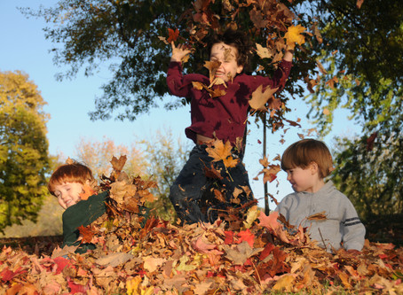 Fun Friday - Falling for Fall
