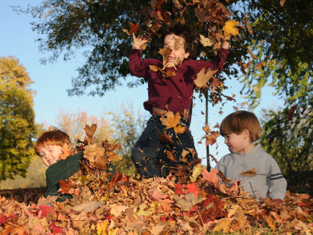 Fun Friday - Falling for Fall