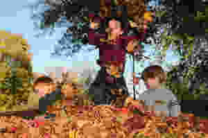 Jumping in leaves