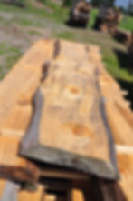 Live Edge Slabs Fresh Cut