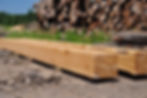 Fresh Cut Timber Beams