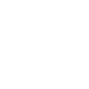 WS_logo_w1x1.png
