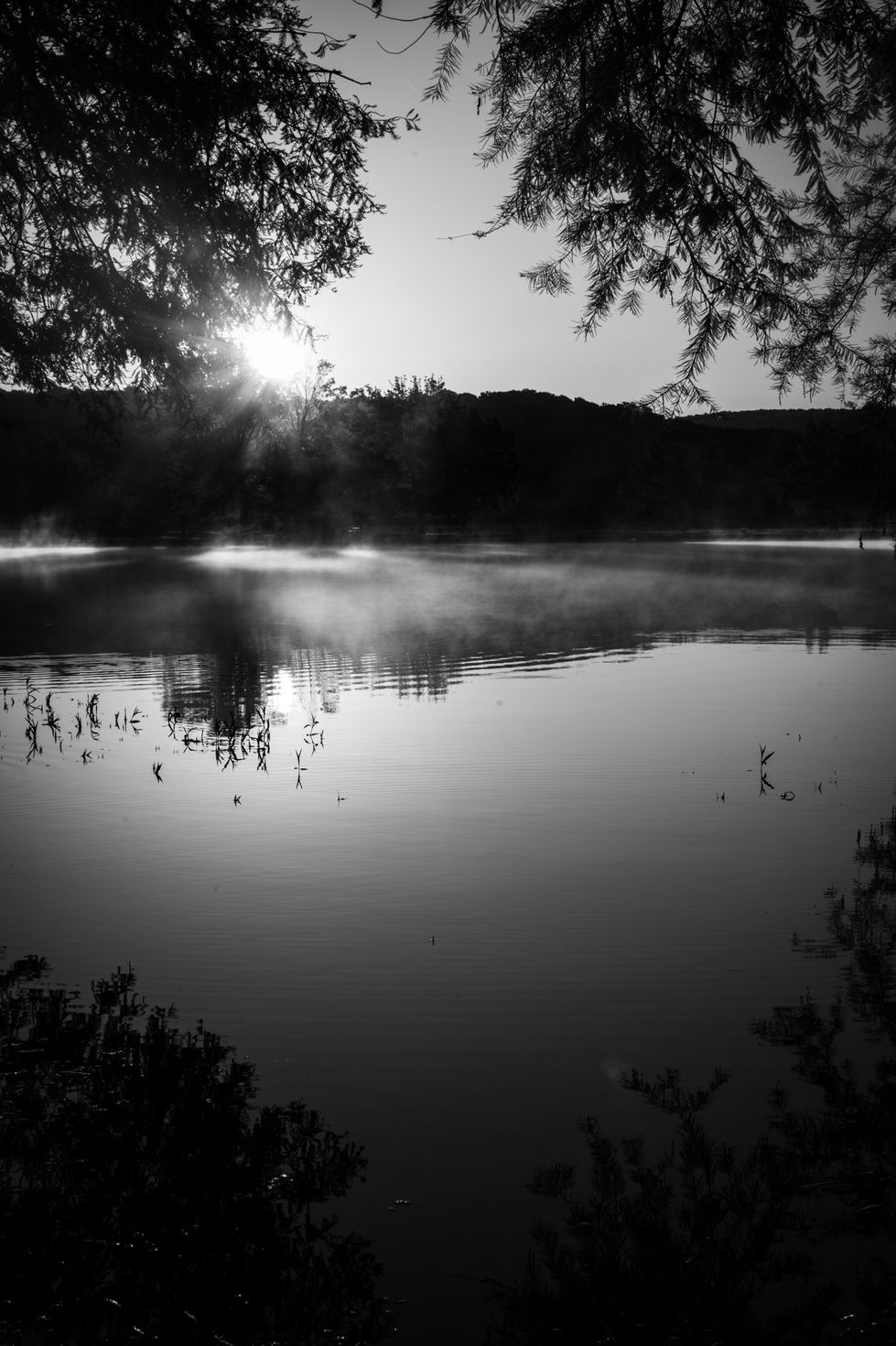 black and white-water photo
landscape photos
Greenleaf Lake
Greenleaf State Park
Braggs, OK