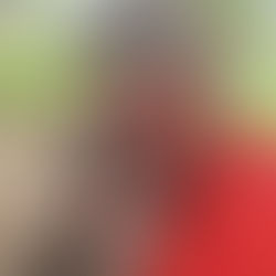 Newsletter Issue 61:  August 2025