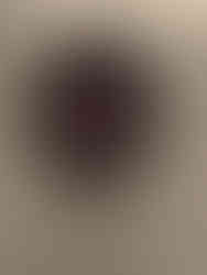 Du Courage à l'Honneur, musée de la Légion d'honneur