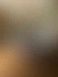 Château de Compiègne            Oise