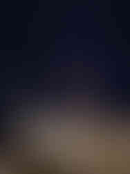 Exposition Calder, Fondation Louis Vuitton