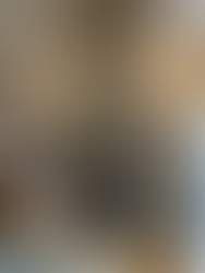 Hôtel de Salm Légion d'honneur salon Blanc