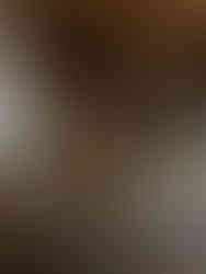 Lit de parade du roi, château de Versailles