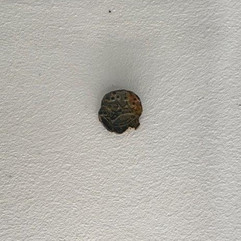 Méreau des orfèvres portant l'image d'une couronne, Crypte archéologique de l'île de la Cité à Paris, exposition Dans la Seine, parvis Notre-Dame de Paris