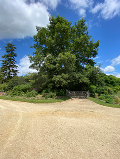 Château de Compiègne                           Oise
