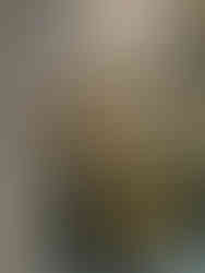 Exposition "Le Dernier Sacre"