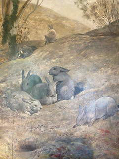 Auvers sur Oise - visite