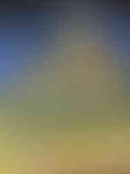 Auvers sur Oise - visite