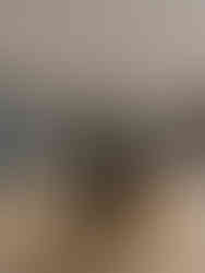 Musée de la Légion d'honneur