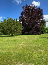 Château de Compiègne                   Oise