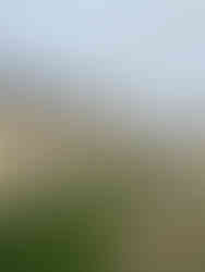 Lycée Hoche - Ancien couvent de la Reine, Versailles