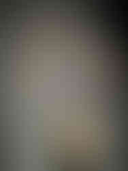 Exposition "Joyaux Dynastiques"