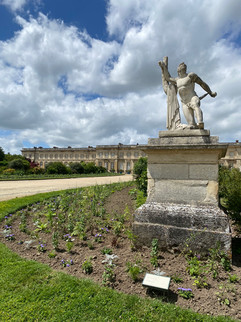 Château de Compiègne                           Oise