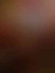 Lit de parade du roi, château de Versailles