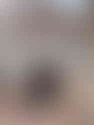 Forteresse de Salses Pyrénées Orientales