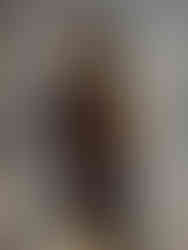 Du Courage à l'Honneur, musée de la Légion d'honneur