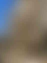 Palais Idéal du Facteur Cheval