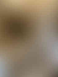 Exposition Prosper Mérimée, château de Compiègne